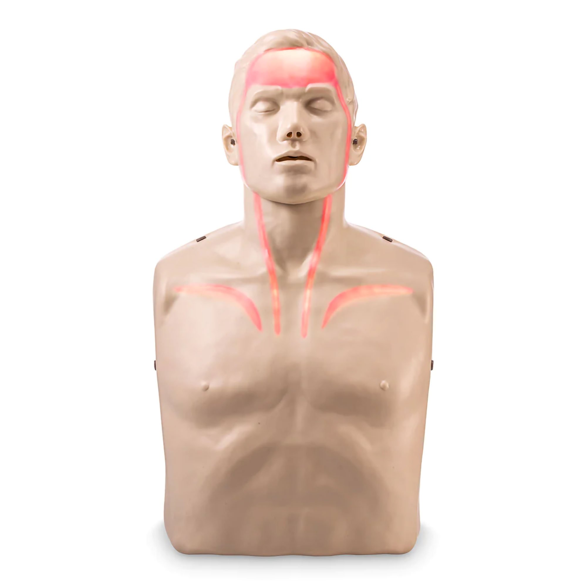 Brayden Adult CPR Manikin - Image 1